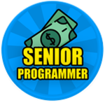 Senior Programmer
