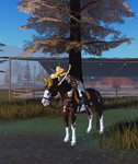 Cowgirls love horses