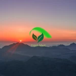 Fresh mart shopping Group Thumbnail