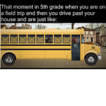 just memes :D