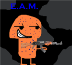 E.A.M group