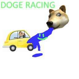 Doge Racing