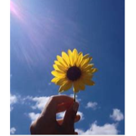 Little Sunnyss