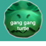 gang gang turtle