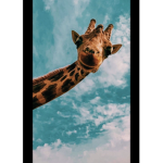 Giraffes Loves