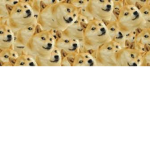 Doge is Love, Doge is Life.