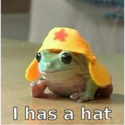 froge land
