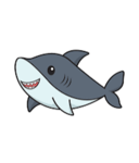 SharkToes