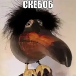 Skebob Studio
