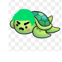 This is turtle war!!!