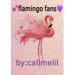 Flamingo fans by callmelil