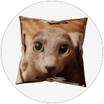 PLOOBIE PILLOW [donation item]