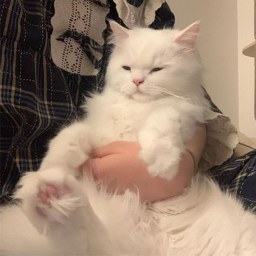 ♡