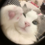 ゆあyuaグループ