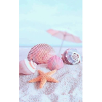 Chloe’s Starfish!!