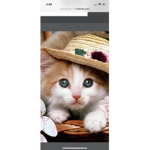 #cat krew