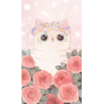 Kitty,s fans group