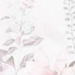 ✧