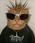 DJ Gato Official