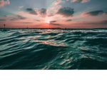Ocean_Matilda