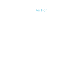 Honer International Airport