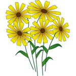 Floras Flower