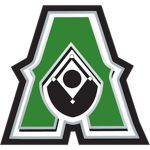 Action Baseball HCBB