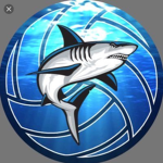 Sharks Volleyball Group