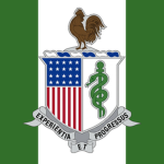 ANG, 125th Medical Battalion