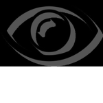 Emergency Response: Criminal Organization