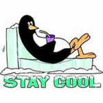 the awesome and cool dudes