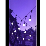 Purple's friends