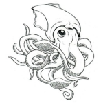 Bebe Squids