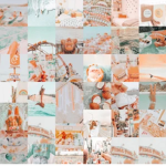 PreppyVibez