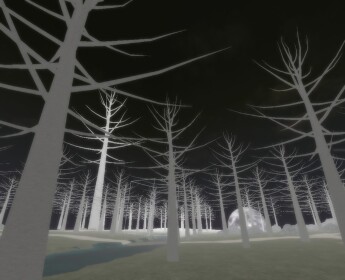 The Forest