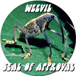 Weevil Studios