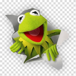 Kermit hangout