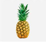America Roleplay *Pinapple Studios Group*