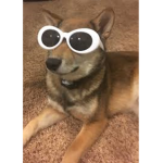 The amazing weird thing group thing memes