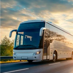 Bus City