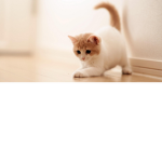Cute Kitty Squad_Lemon Kitty