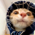 ! レ・へ・フ !