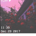 X.A - Last Meg.