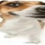 complexisdaddy