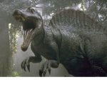 The spinosaurus group
