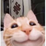 Rawr :D :)