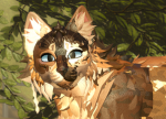 woewowow!