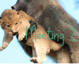|| Meeting 2 ||
