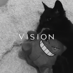 .vision.