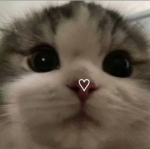 paws !! roblox group ><